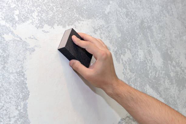 Trusted Valley, NE Mold Removal Experts