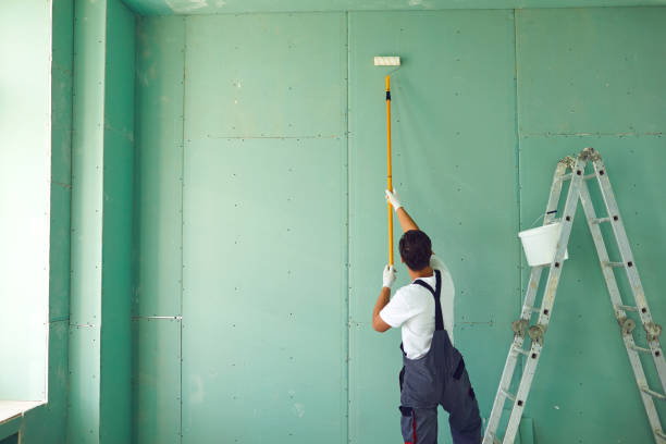  Valley, NE Mold Removal Pros