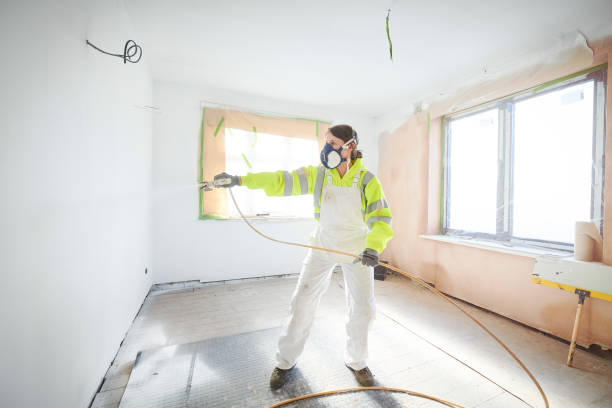 Best Industrial Mold Remediation  in Valley, NE
