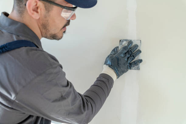 Best Black Mold Removal  in Valley, NE