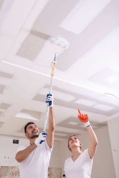 Best Mold Remediation for Vacation Homes  in Valley, NE