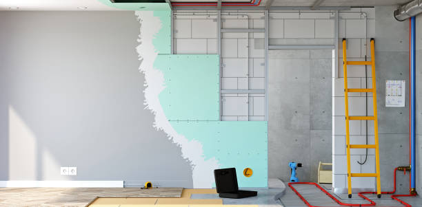 Best Basement Mold Removal  in Valley, NE