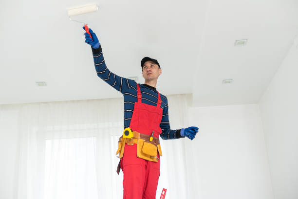 Best Post-Construction Mold Inspection  in Valley, NE
