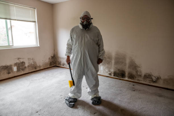 Best Mold Remediation for Healthcare Facilities  in Valley, NE