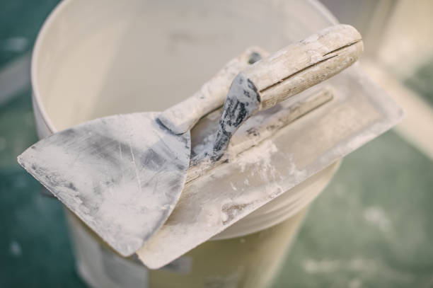 Best Commercial Mold Inspection  in Valley, NE