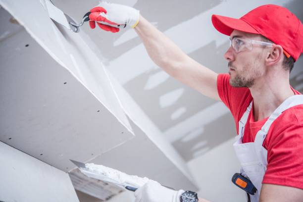 Best Forensic Mold Investigation  in Valley, NE